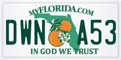FL license plate DWNA53