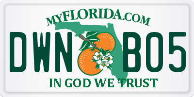 FL license plate DWNB05