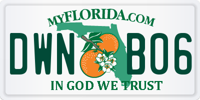FL license plate DWNB06