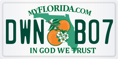 FL license plate DWNB07