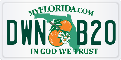 FL license plate DWNB20