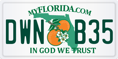 FL license plate DWNB35