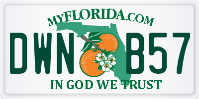 FL license plate DWNB57
