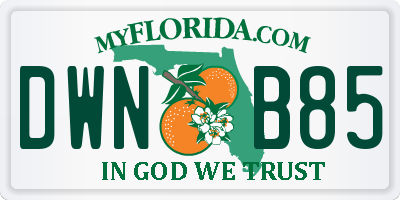 FL license plate DWNB85
