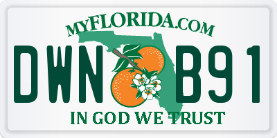 FL license plate DWNB91