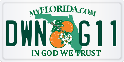 FL license plate DWNG11