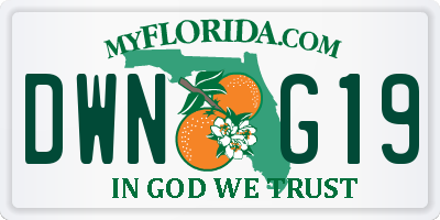 FL license plate DWNG19