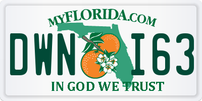 FL license plate DWNI63