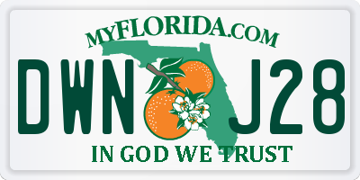 FL license plate DWNJ28