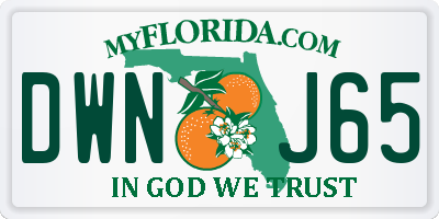 FL license plate DWNJ65