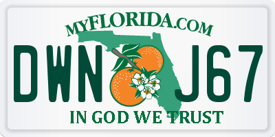 FL license plate DWNJ67