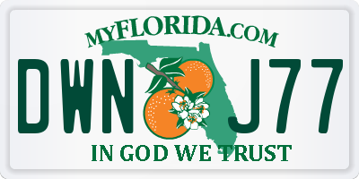 FL license plate DWNJ77