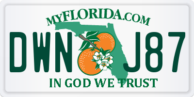 FL license plate DWNJ87