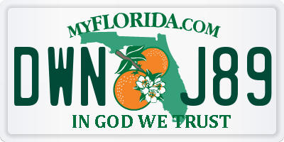 FL license plate DWNJ89
