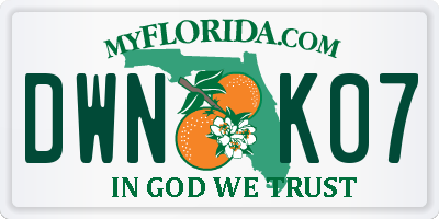 FL license plate DWNK07