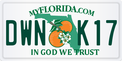 FL license plate DWNK17