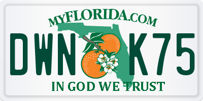 FL license plate DWNK75