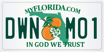 FL license plate DWNM01