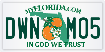 FL license plate DWNM05