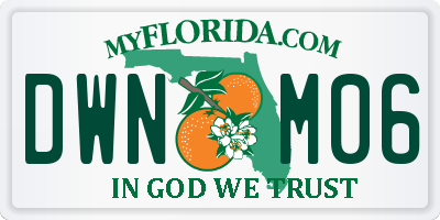 FL license plate DWNM06