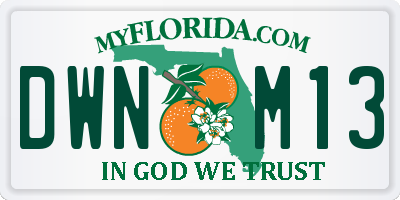 FL license plate DWNM13