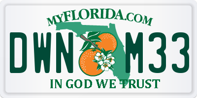 FL license plate DWNM33