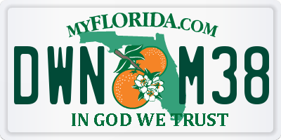 FL license plate DWNM38