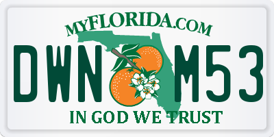 FL license plate DWNM53