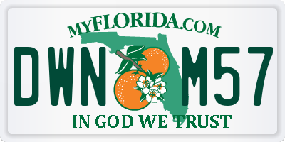FL license plate DWNM57