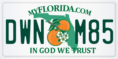 FL license plate DWNM85