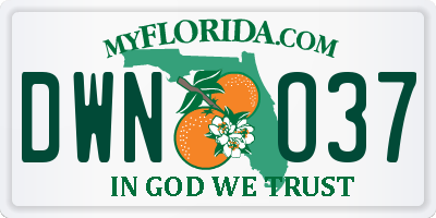 FL license plate DWNO37