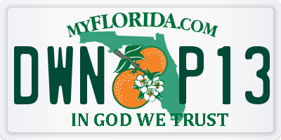 FL license plate DWNP13