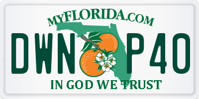 FL license plate DWNP40