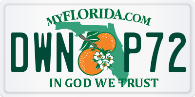 FL license plate DWNP72