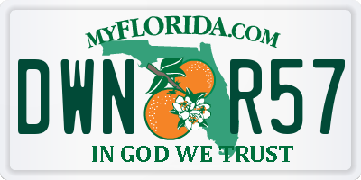 FL license plate DWNR57