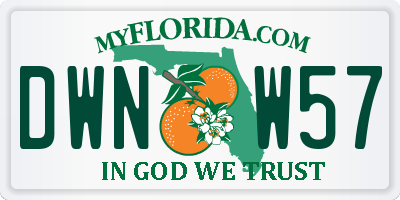 FL license plate DWNW57