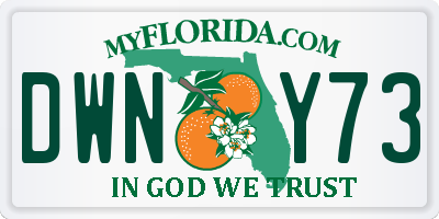 FL license plate DWNY73