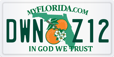 FL license plate DWNZ12