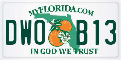 FL license plate DWOB13