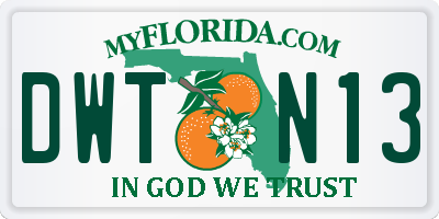 FL license plate DWTN13
