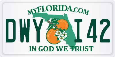 FL license plate DWYI42