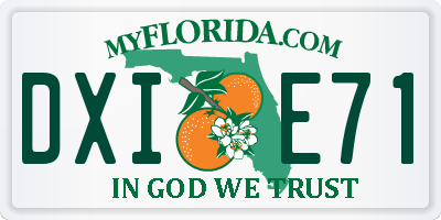 FL license plate DXIE71
