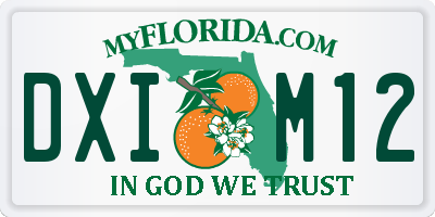 FL license plate DXIM12