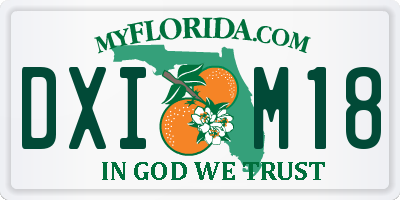 FL license plate DXIM18