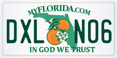FL license plate DXLN06