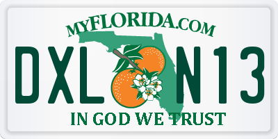 FL license plate DXLN13