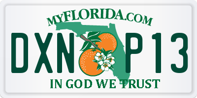 FL license plate DXNP13