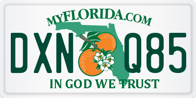 FL license plate DXNQ85