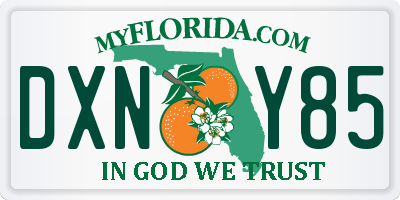 FL license plate DXNY85