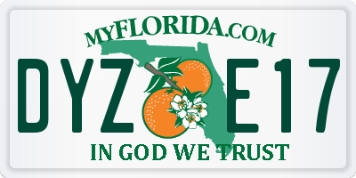 FL license plate DYZE17